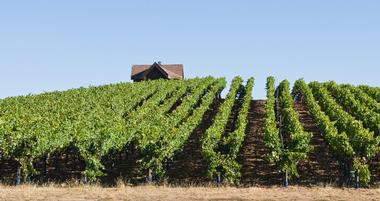 25 Best Things to Do in Sebastopol, California