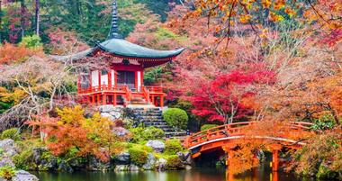 24 Best Tokyo Day Trips