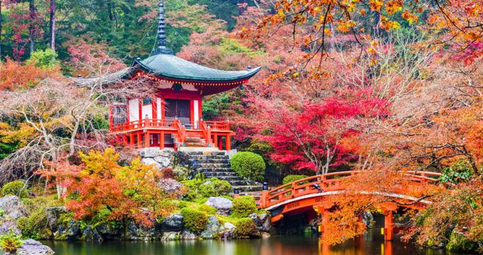 24 Best Tokyo Day Trips