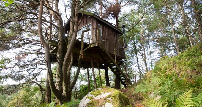 25 Best Treehouse Hotels Rentals