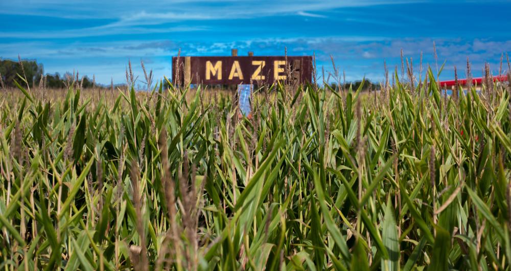 Best US Corn Mazes 