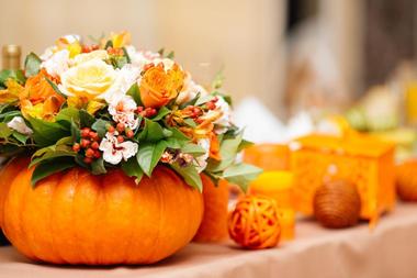 Wedding Venues Near Me: Jones Family Farm