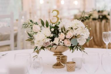 Wedgewood Weddings Palm Valley
