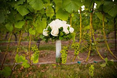 Hopewell Valley Vineyards