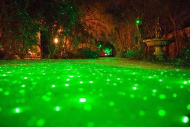 The Fire Garden