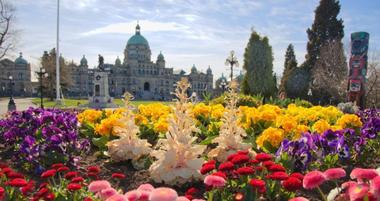 24 Best Wedding Venues in Victoria, Canada