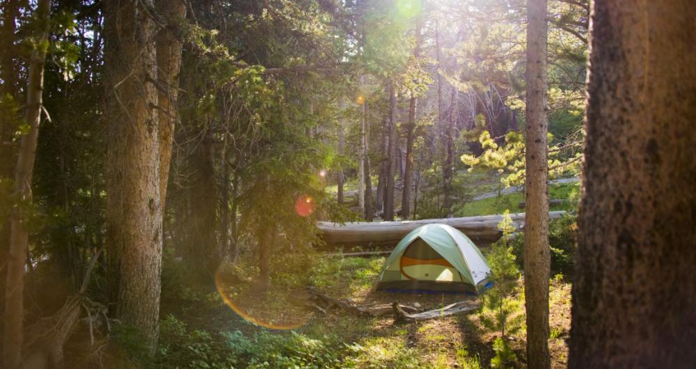 22 Best Wyoming Camping Spots