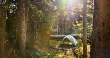 Wyoming Camping Ideas