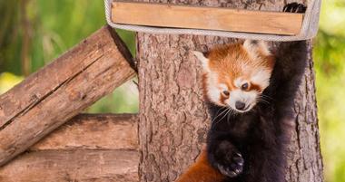25 Best Zoos to Visit on Your Weekend Getaway