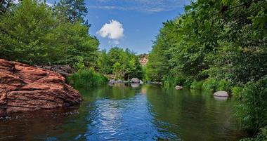 Briar Patch Inn
