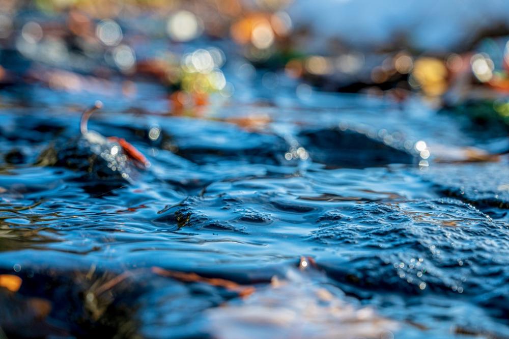 Hike, picnic, or launch a kayak at this scenic riverside park near town.