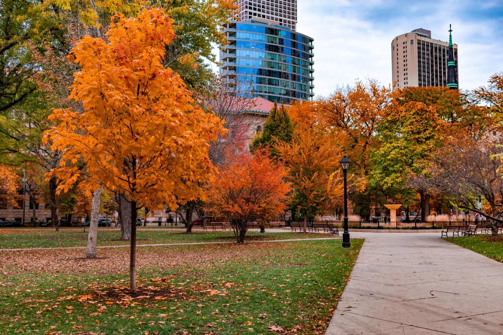 Washington Park - Chicago Parks