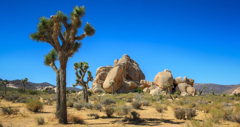 25 Best California State & National Parks