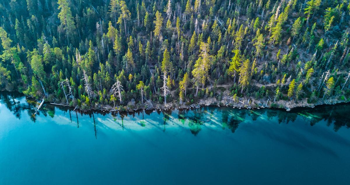 Camping at Lake Tahoe