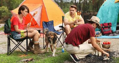 Dog-Friendly Campgrounds for a Fun Weekend Getaway