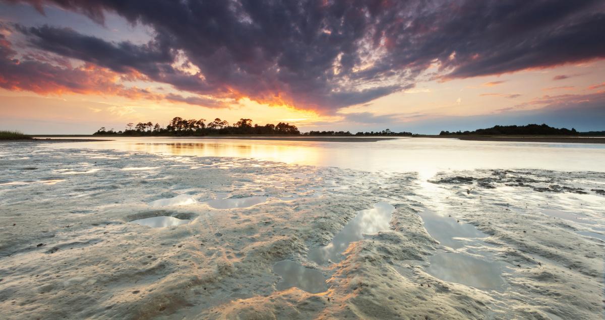 Cedar Key FL Beaches