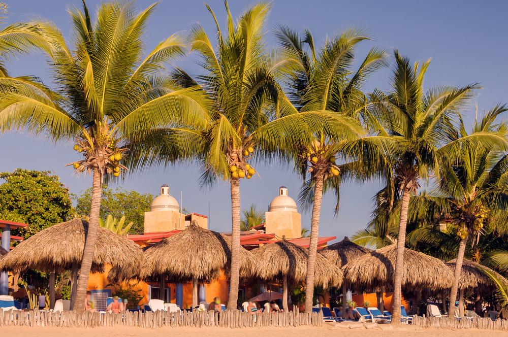 Party all night or relax beachside on an affordable spring break trip.