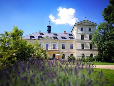 Chateau Mcely