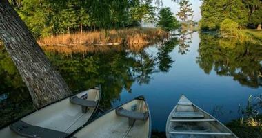 Champagne's Swamp Tours