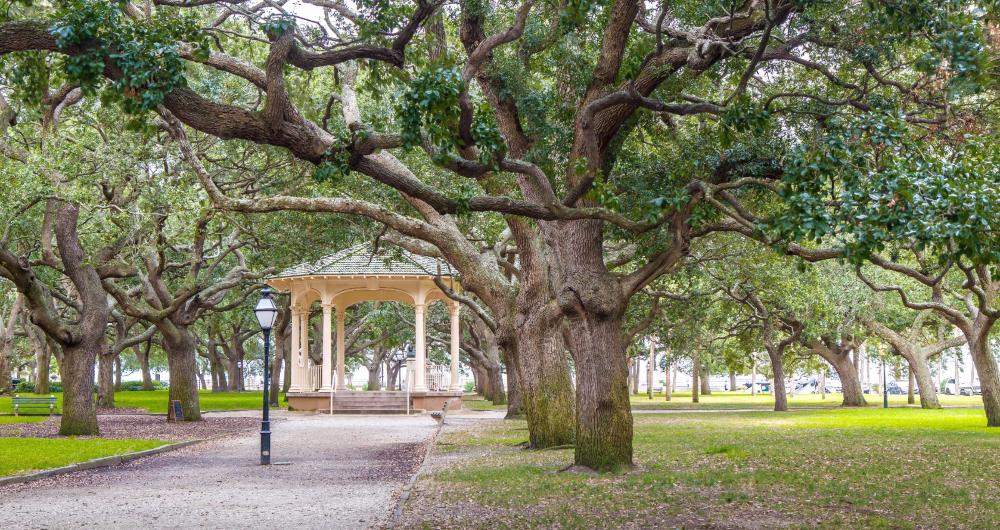 25 Charleston Parks