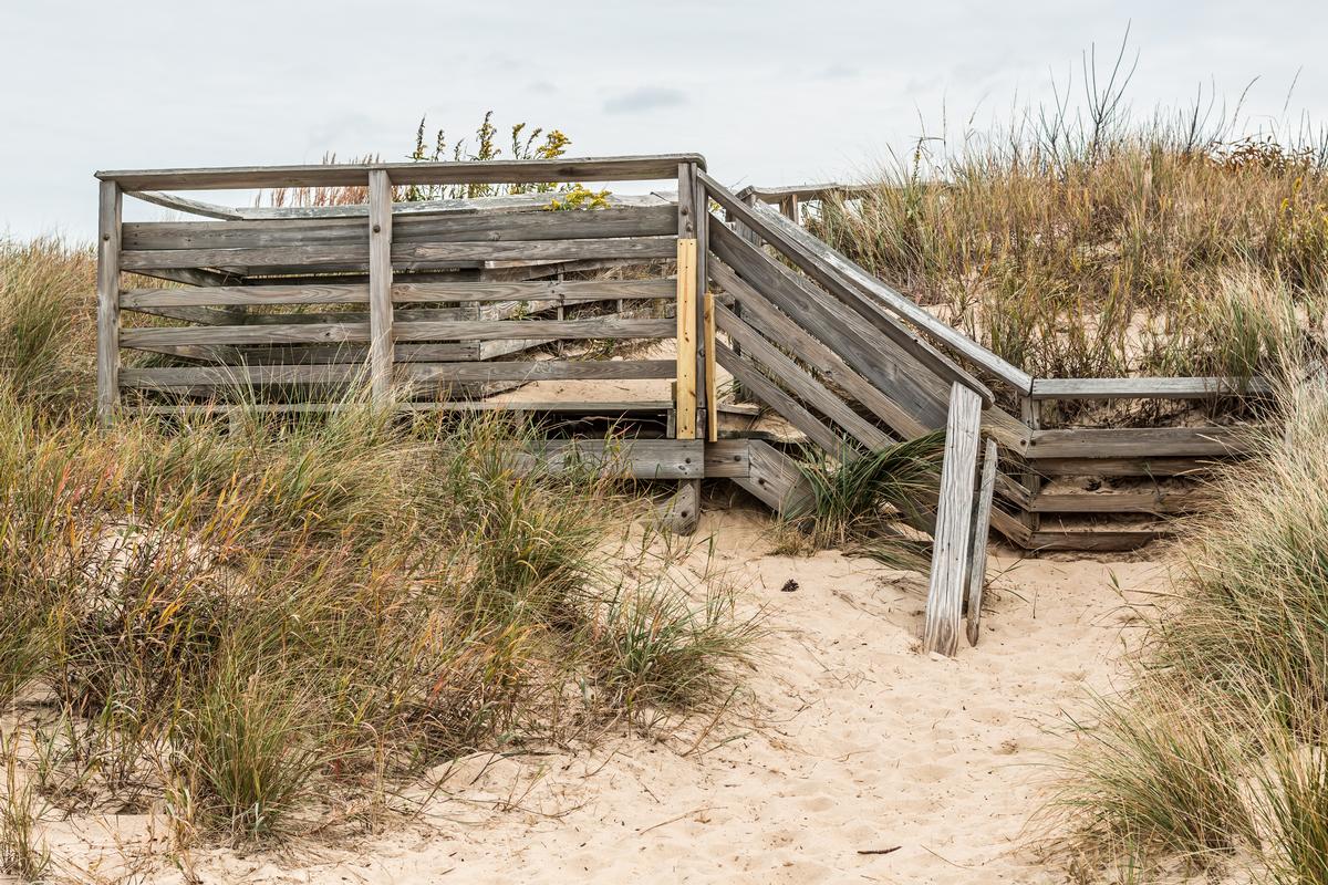 First Landing State Park sandy beach