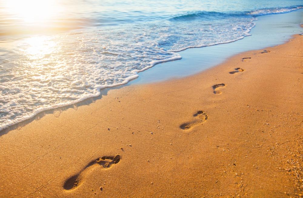 Walk along sandy shores and explore scenic coastal trails.