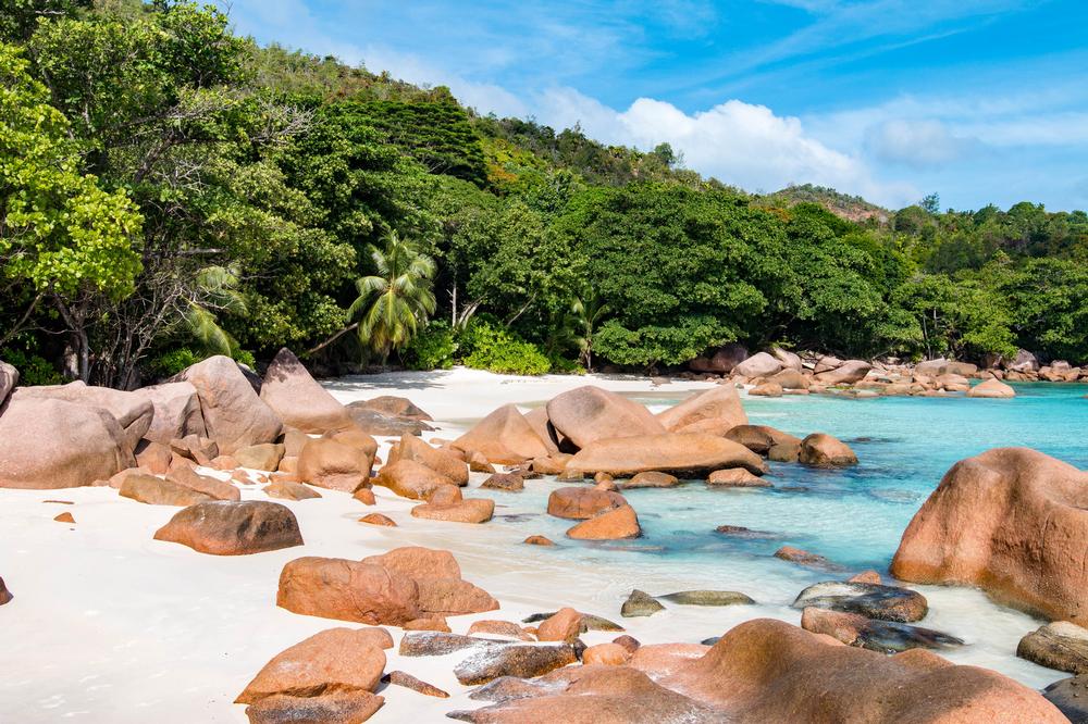 Swim in Turquoise Perfection at Anse Lazio