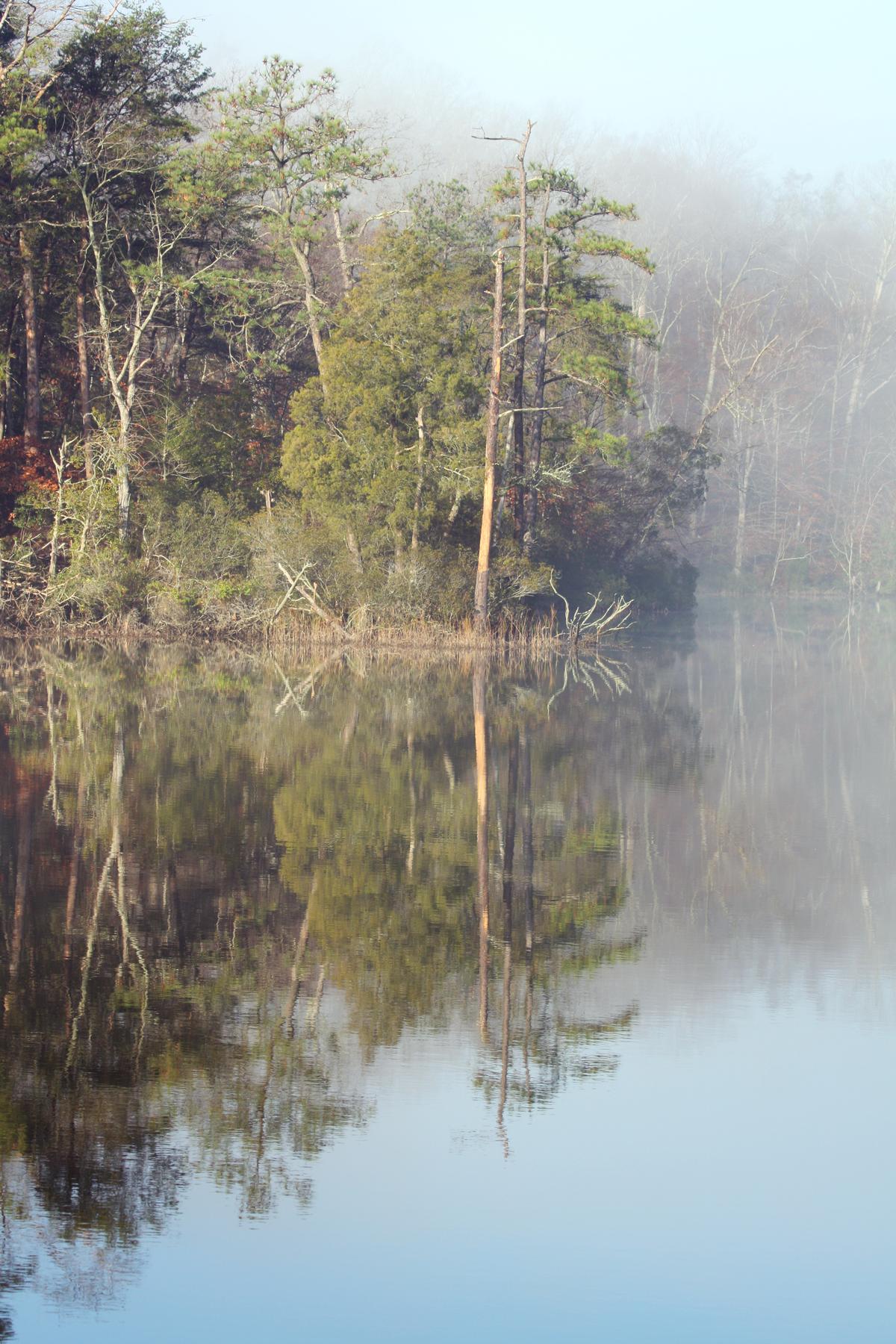 Misty morning at College Creek