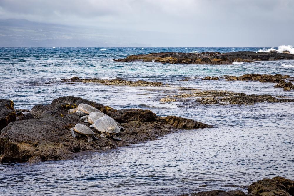 Richardson Beach Park - 12-minute drive from Hilo