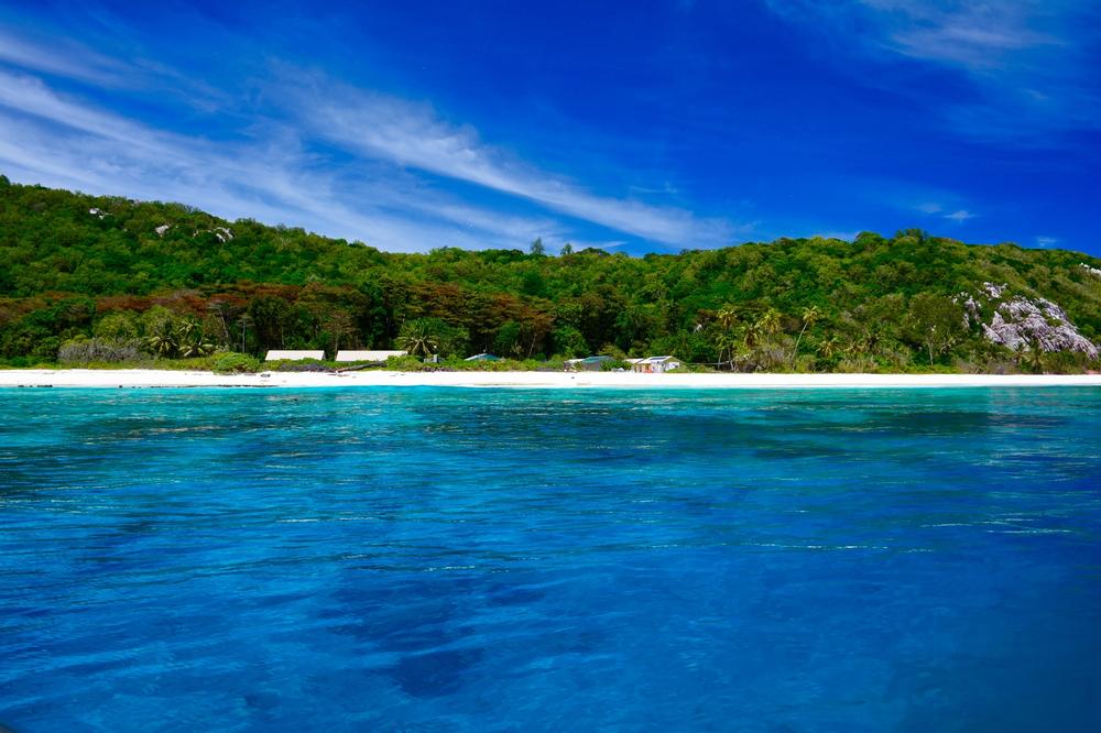 Spot Rare Birds and Wildlife at Aride Island Nature Reserve