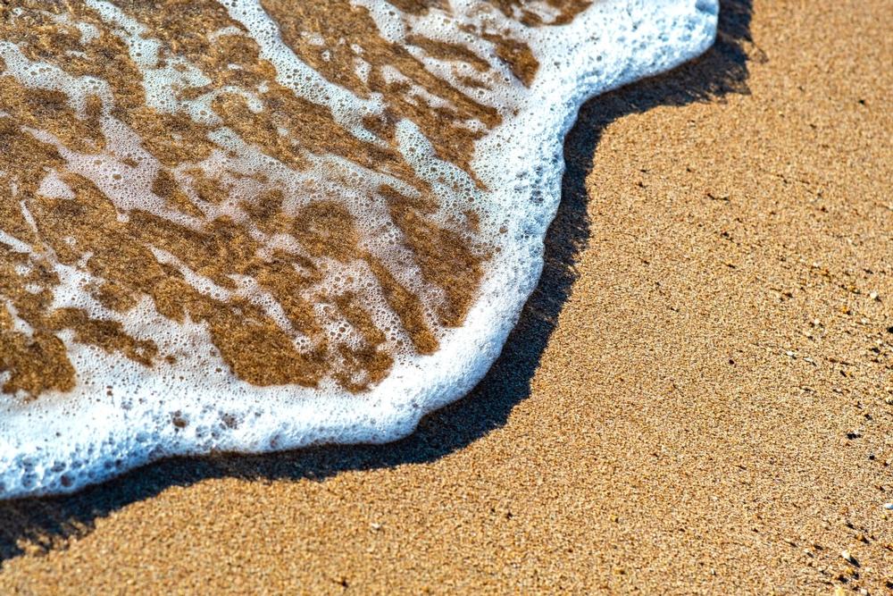 Butter Bean Beach - 20 minutes from Savannah, GA