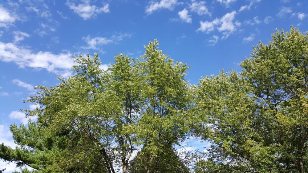 Colorado Lagoon Park - 15-minute drive from Long Beach
