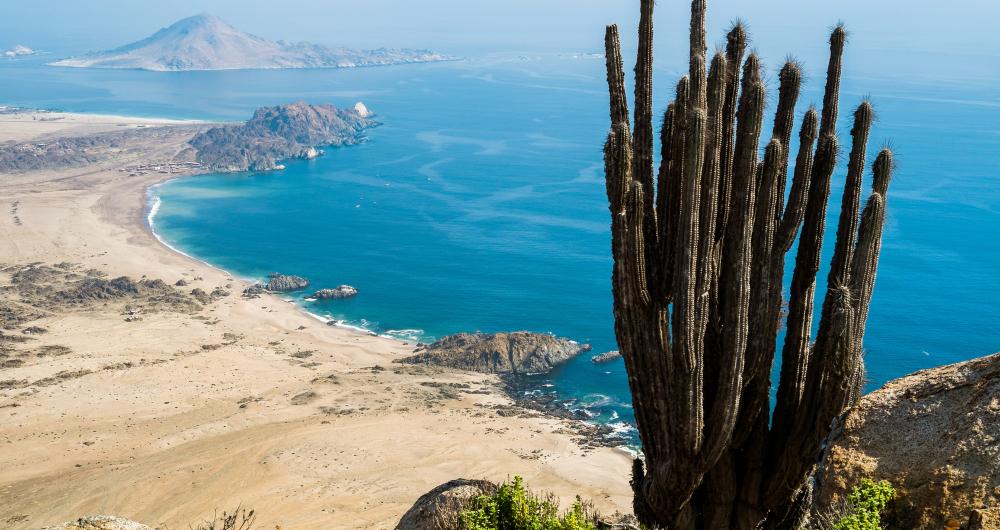 Chile Beaches