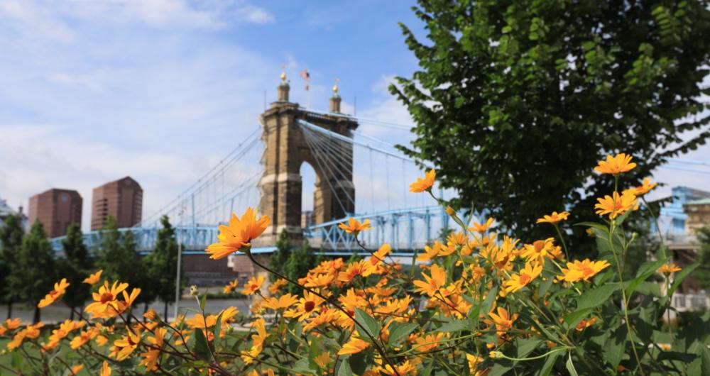 24 Cincinnati Parks