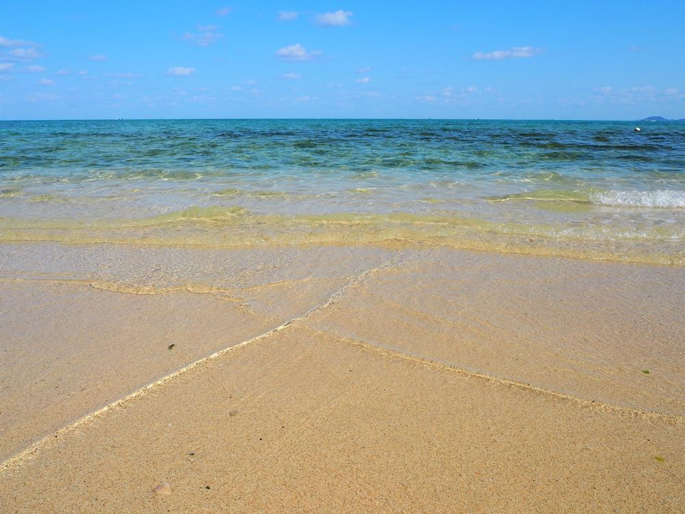 Surf Beach - 10-minute walk from Old Harbor
