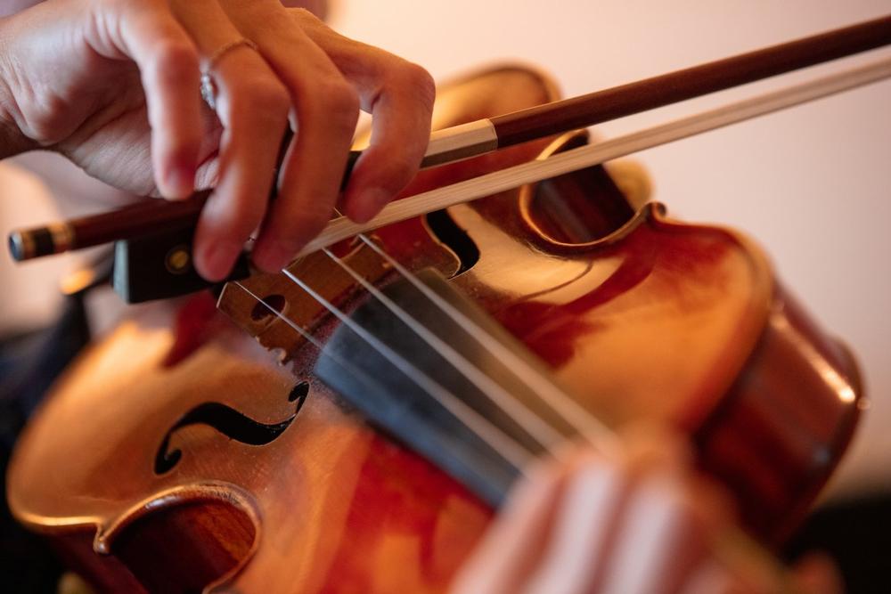 Experience the Heartbeat of Culture at Black Mountain Center for the Arts