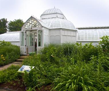 Greenhouse and Gardens