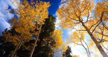 25 Colorado Parks