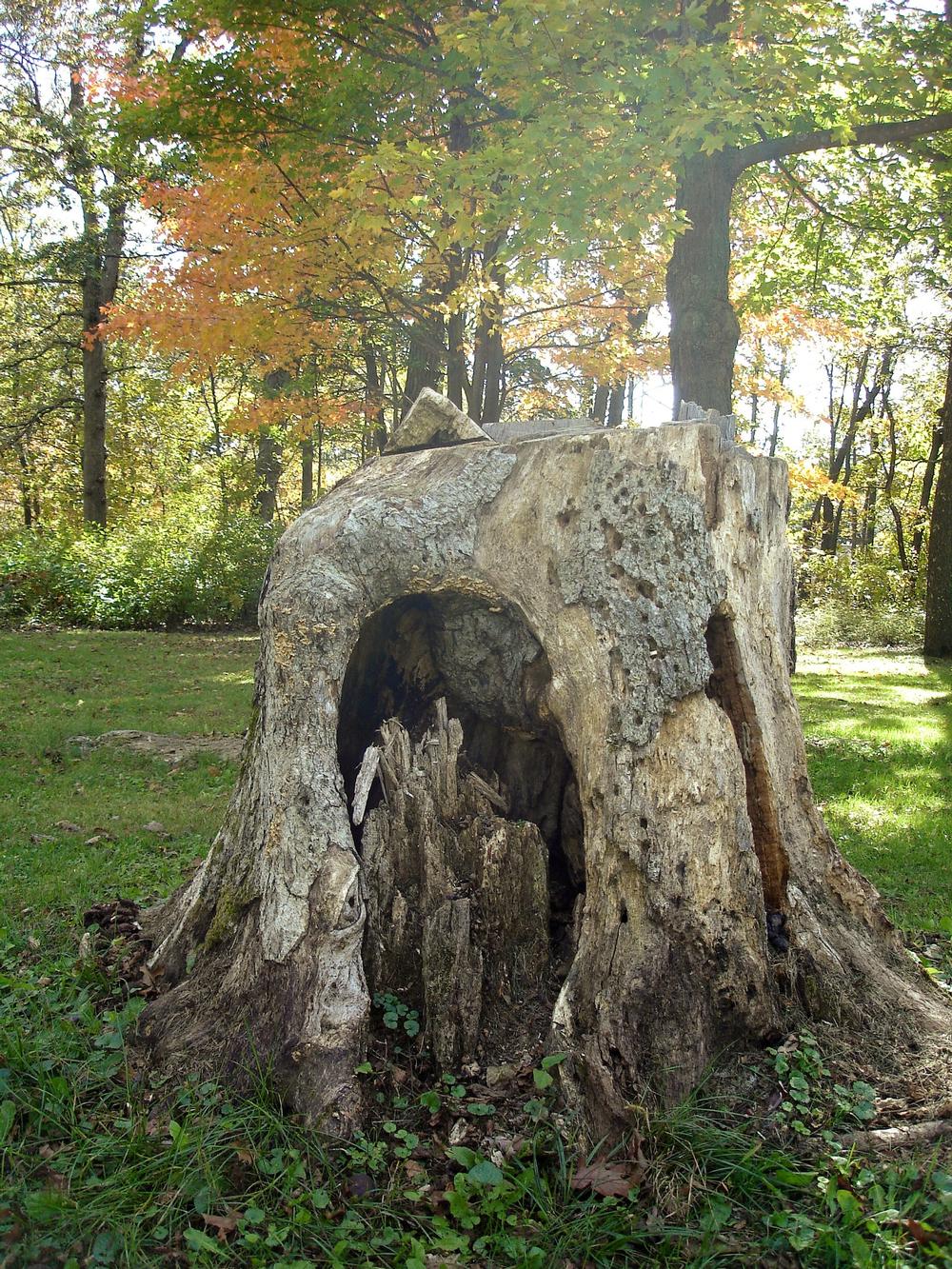 Blue Mound State Park - 35-minute drive from Madison, WI