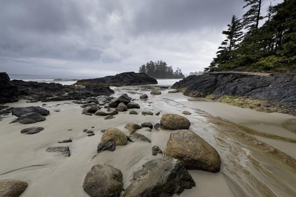 Pacific Rim National Park Reserve | Things to Do on Vancouver Island