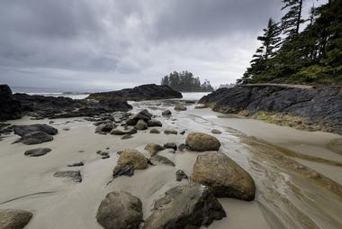 Pacific Rim National Park Reserve | Things to Do on Vancouver Island