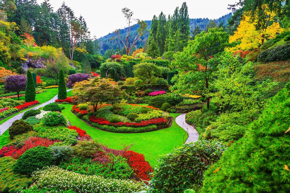 The Butchart Gardens | Things to Do on Vancouver Island