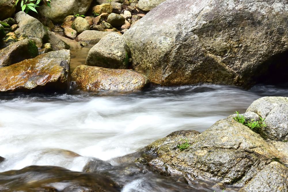 Englishman River Falls Provincial Park | Things to Do on Vancouver Island