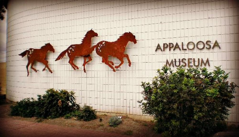If You Love Horses and Western History, Explore the Appaloosa Museum