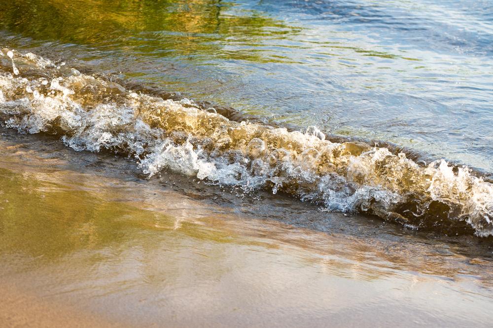 Explore Nature and History at Salt River Bay National Historical Park