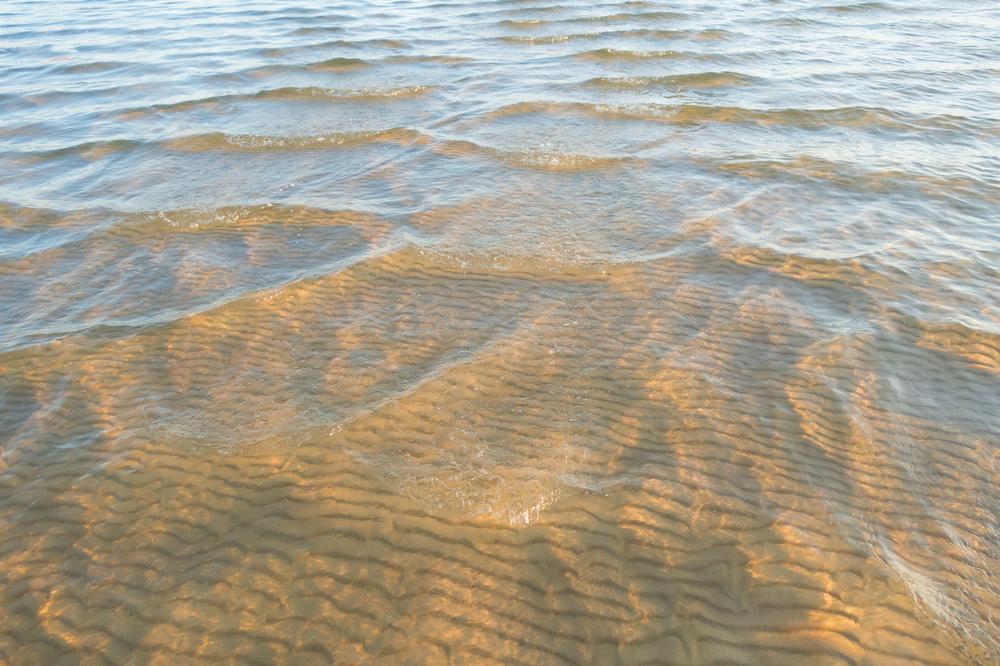 Protect and Unwind at Sandy Point National Wildlife Refuge