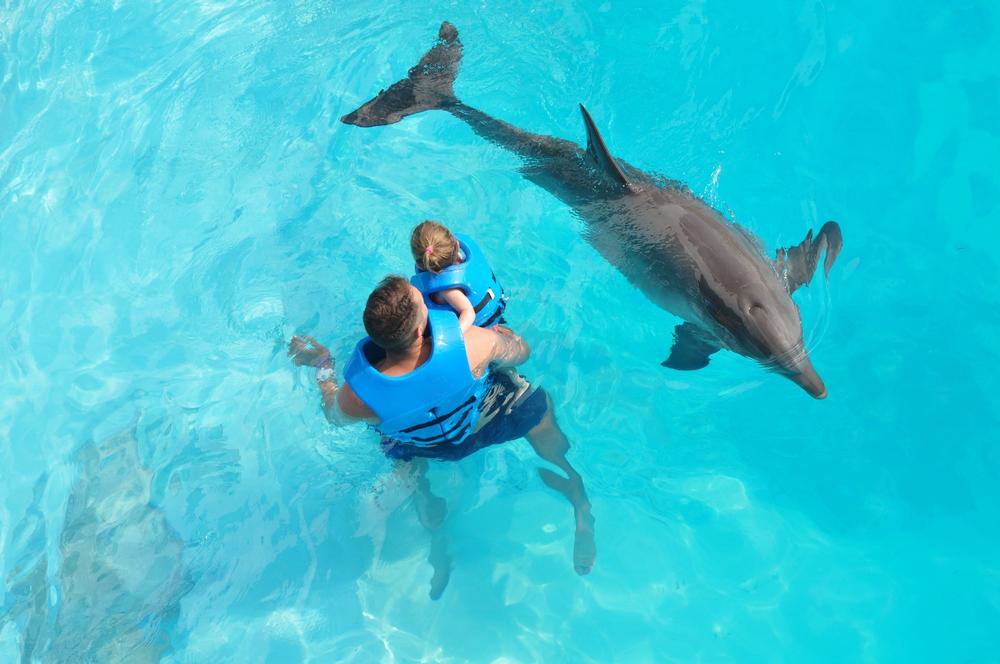 Make a Splash with Smiles at Delphinus Punta Cancun