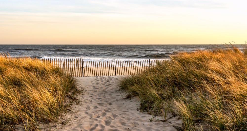 How To Plan a Day Trip to The Hamptons from New York City