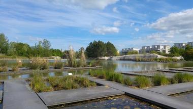 Jardin Botanique de Bordeaux