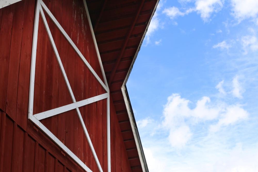 Unplug with Forest Trails and Farm Heritage at Berthusen Park